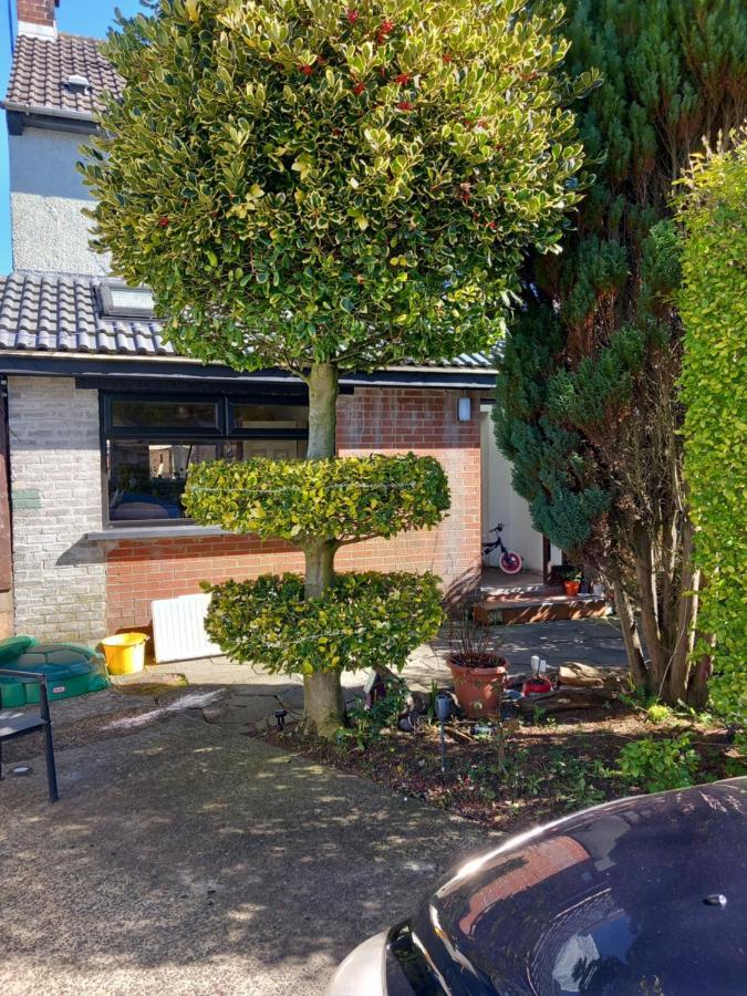 3 Bedroom Family Home Limavady Buitenkant foto